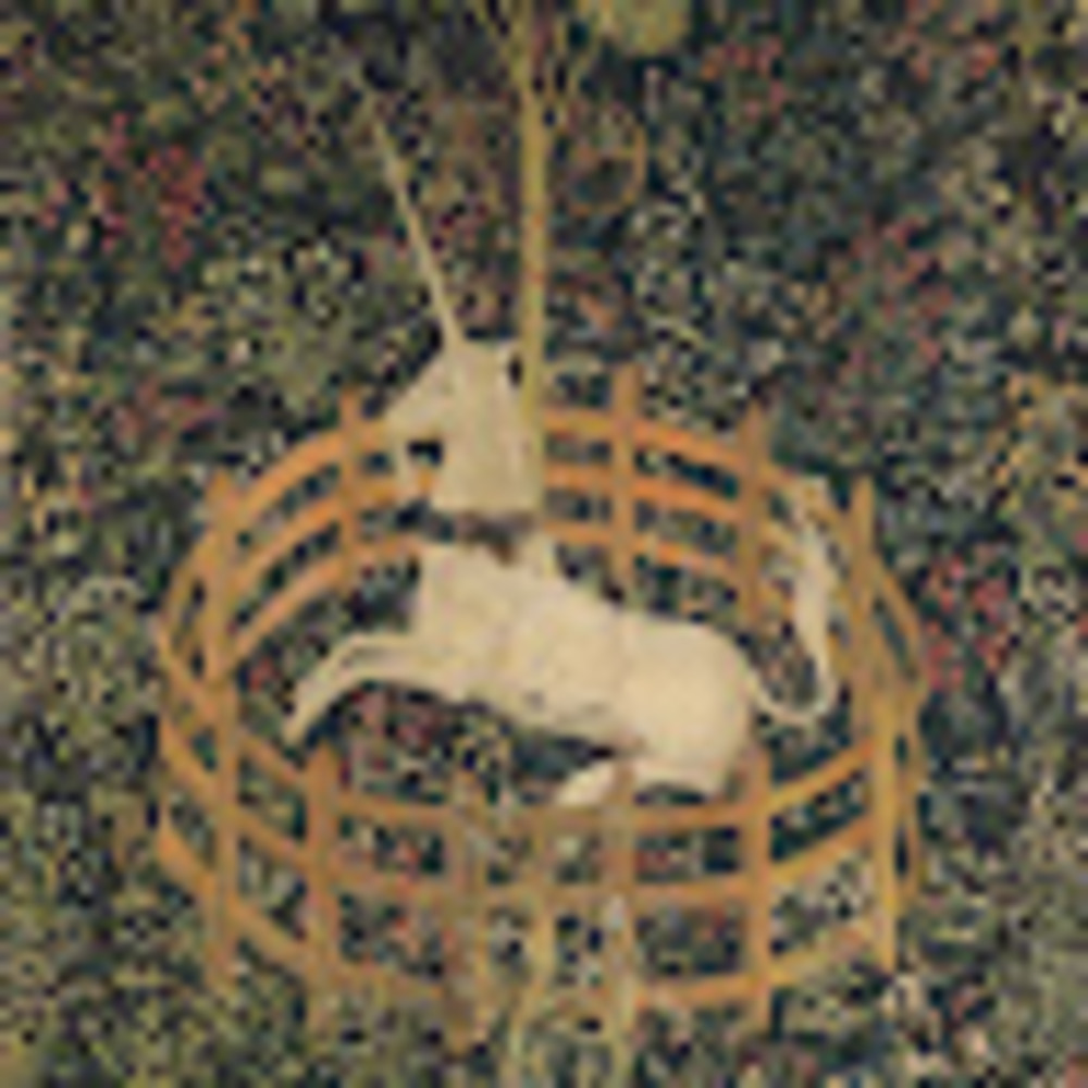 Meet your Posher, Laura